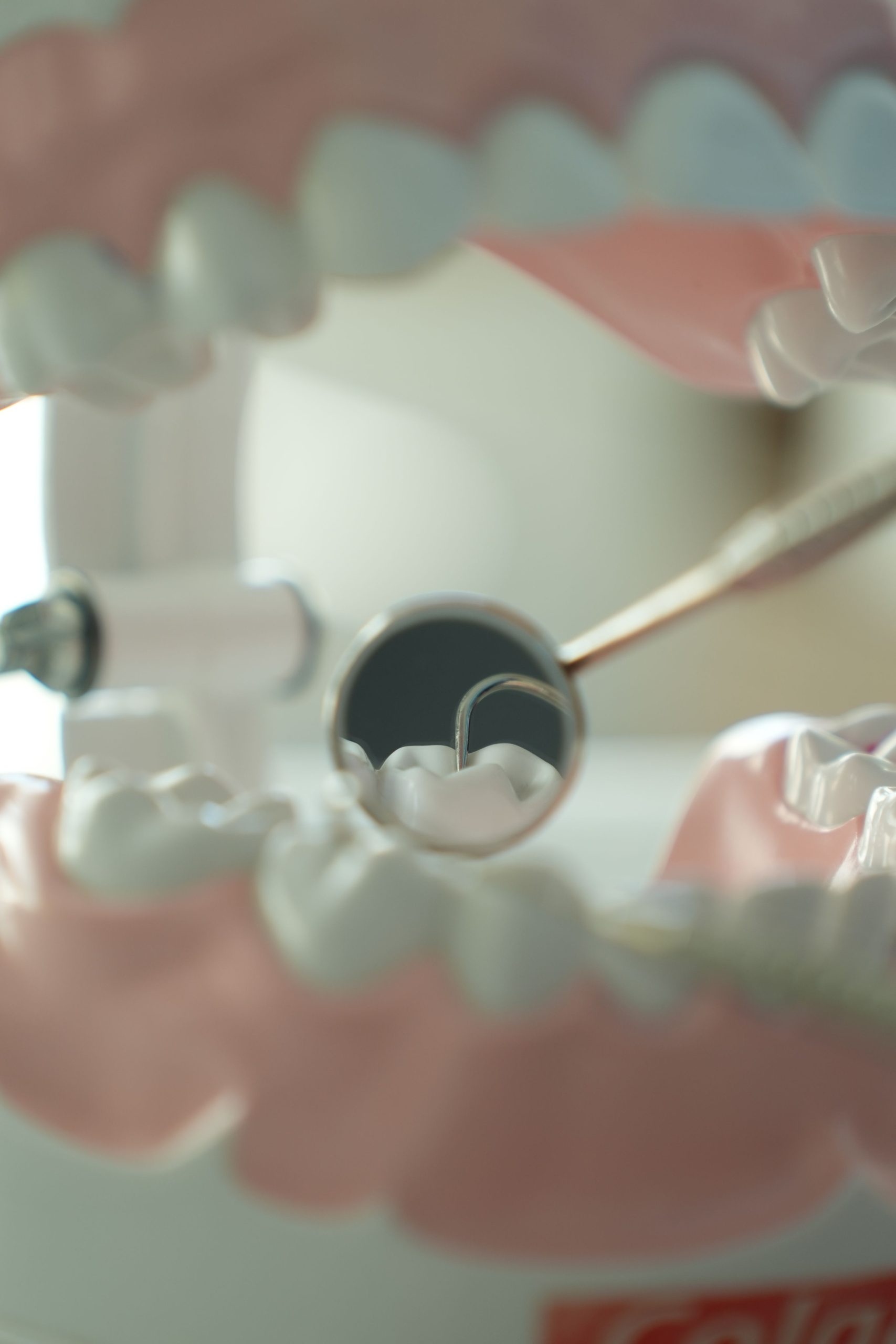 Best Dental Supply in Uttarakhand